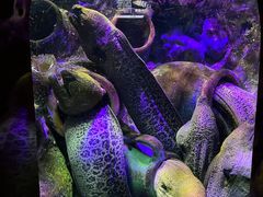 -太平洋海底世界