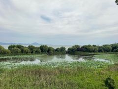 -上海市保健医疗中心