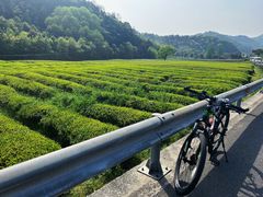 -东钱湖旅游度假区