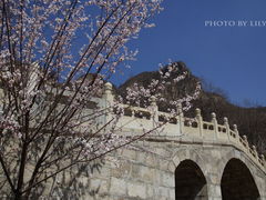 -藏山旅游风景区
