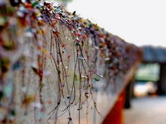 -苏州河梦清园环保主题公园