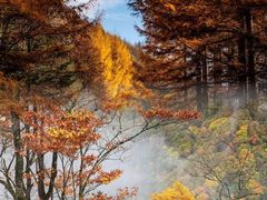 -天燕原始生态旅游区-天门垭景区