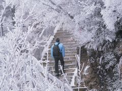 -洛阳白云山景区