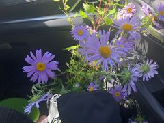 -玉渡山风景区-售票处