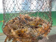 -嘻虾·钓虾工场(东莞总店)