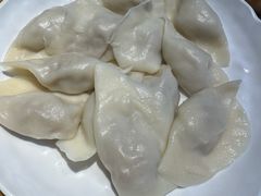 酸菜黑猪肉饺子-一轩饺子馆(丽都店)
