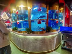 水产区-蜀滋香鲜鱼美蛙火锅(339店)