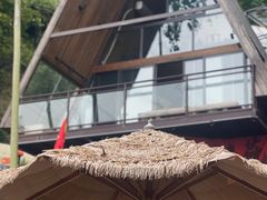 -伴山茶苑·围炉煮茶