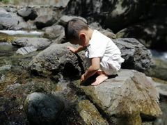 -汪营鸭杂(东风大道店)