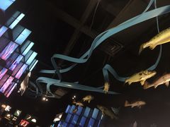 -同济大学四平路校区深海探索馆