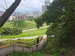 -红花山公园