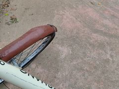 -霞山观海长廊