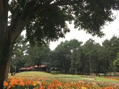 -保利石象湖景区