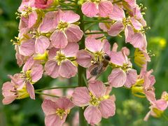 -中国天府农业博览园