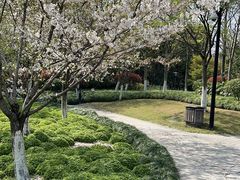 -杭州城北体育公园