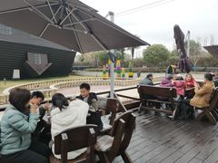 -金山农民画村-枫泾波兰倒置屋