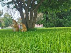 -南京钟山宾馆(江苏省会议中心)