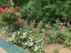 -国家植物园南园