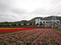 -丹樱生态园