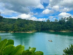 -广州市流溪河国家森林公园