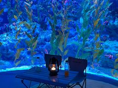 -海合安成都极地海洋公园