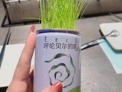 -很久以前羊肉串(打浦路店)