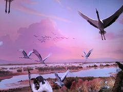 -中国湿地博物馆