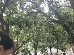 -青岩寺风景区