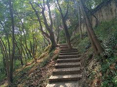 -上海佘山国家森林公园天马山园