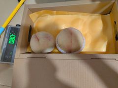 -老袁家蜜桃农场·阳山水蜜桃