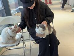 -怪兽屋·羊驼·猫咖·狗咖(俊华广场店)