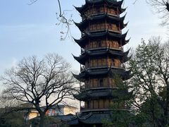 -红梅公园