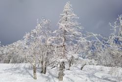 -大秃顶子山