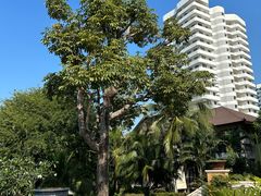 -芭堤雅度假村洲际酒店 - IHG 旗下酒店