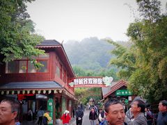 -野象谷景区