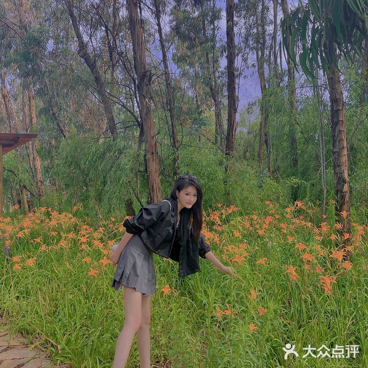 打卡 昆明海洪湿地