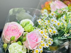 -鹿岛生活(龙湖上城天街店)