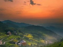 -紫鹊界梯田景区