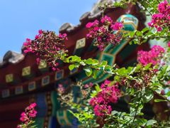 -北京颐和宾馆