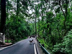-岳麓山风景名胜区