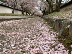 -醍醐寺
