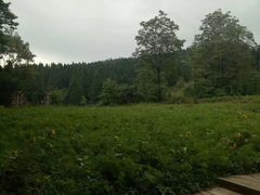 -武陵山森林公园