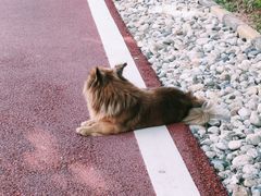 -终南山南五台景区