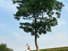 -盘龙城国家考古遗址公园