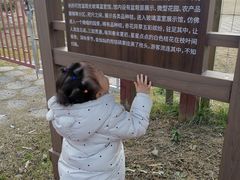 -前小桔亲子创意农场·草莓采摘·露营烧烤