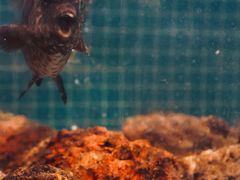 -驻海渔市(置信店)