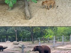 -常州淹城野生动物世界