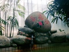 景点-三江森林温泉度假区
