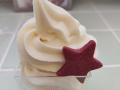 特浓牛奶冰淇淋-红星前进面包牛奶公司(五道口购物中心店)