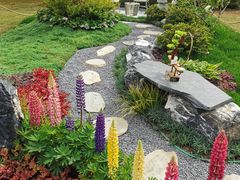 -东平国家森林公园